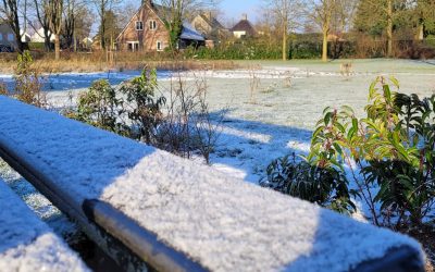 Bijeenkomst over voedselbossen